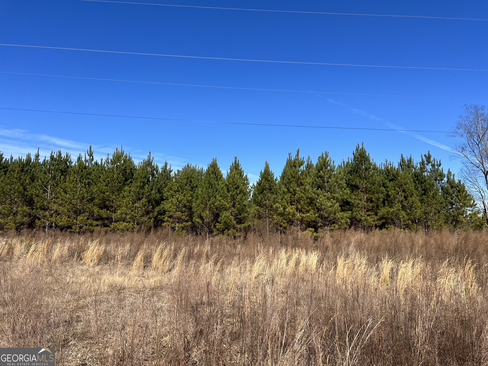 0 Rocky Creek Road Hampton, GA 30228 - Photo 14 of 17