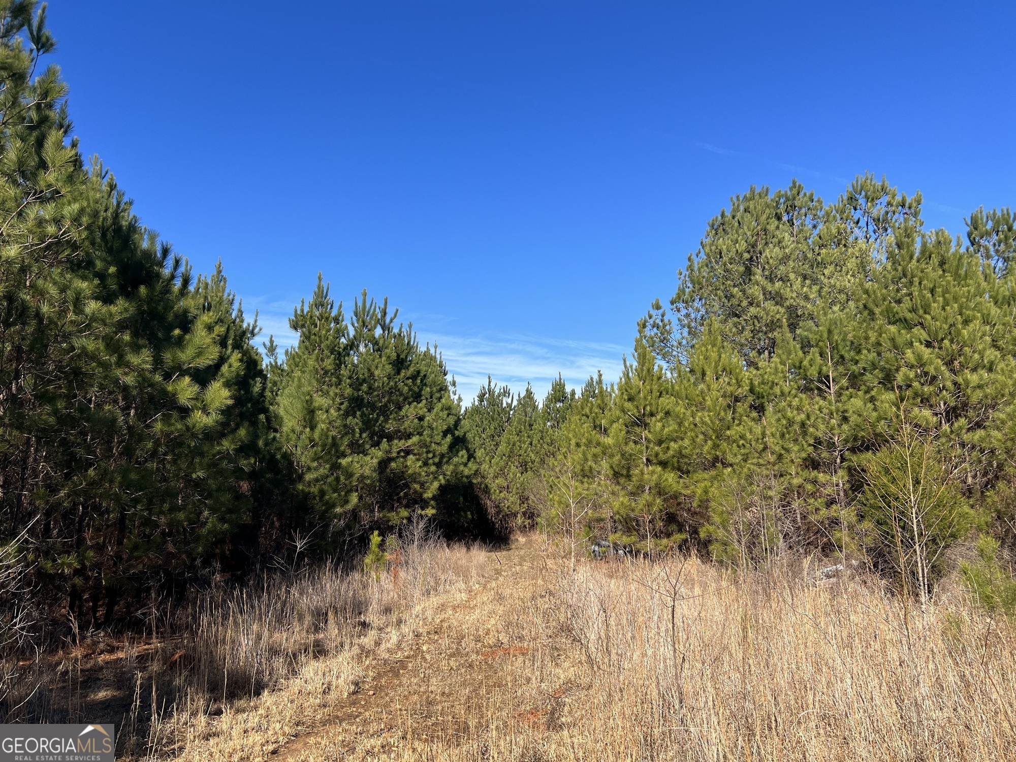 0 Rocky Creek Road Hampton, GA 30228 - Photo 15 of 17