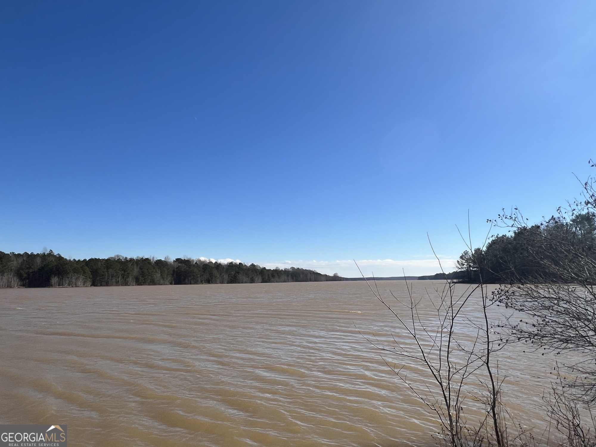 0 Rocky Creek Road Hampton, GA 30228 - Photo 17 of 18 a view of lake and mountain