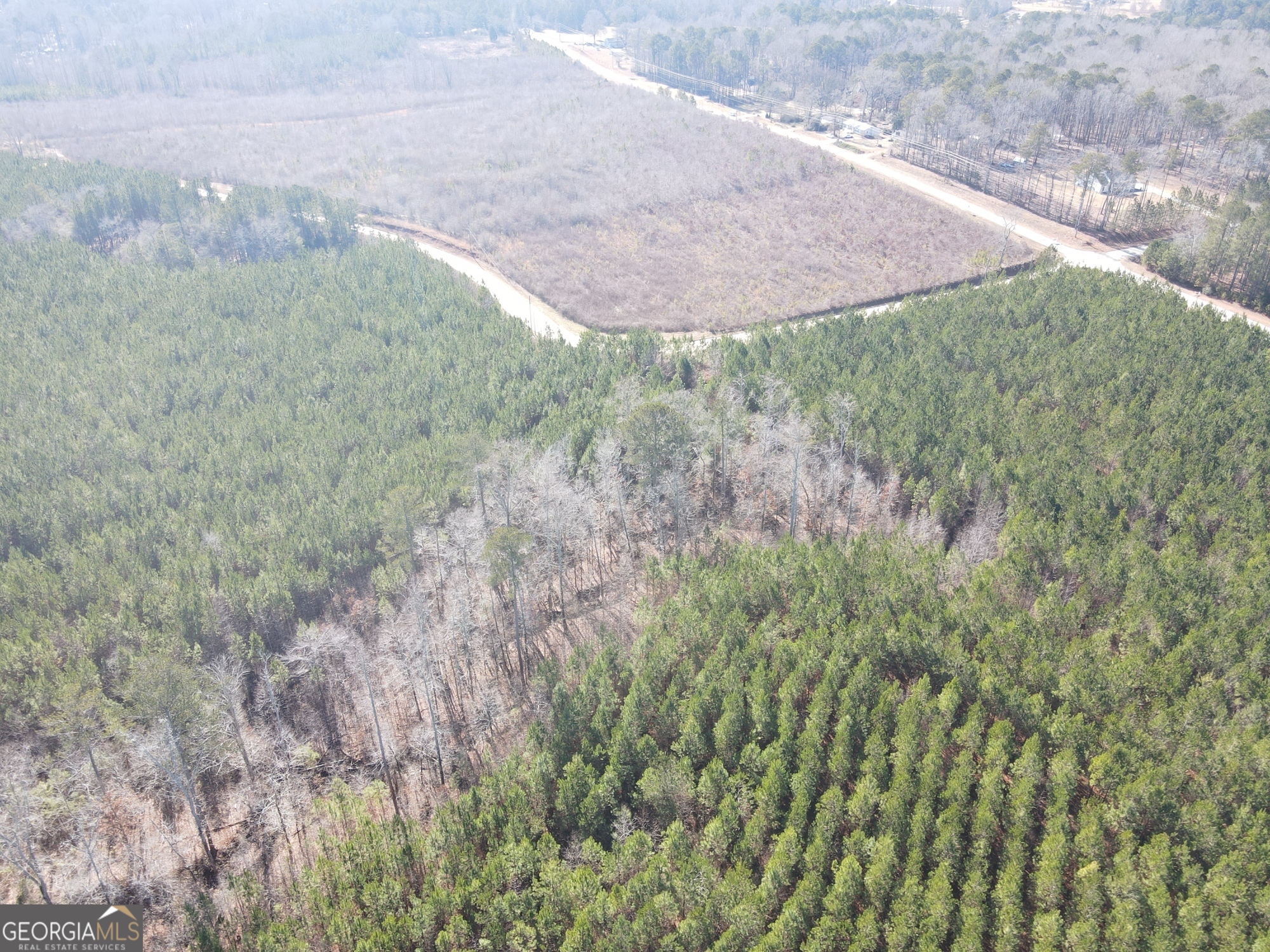 0 Rocky Creek Road Hampton, GA 30228 - Photo 2 of 17