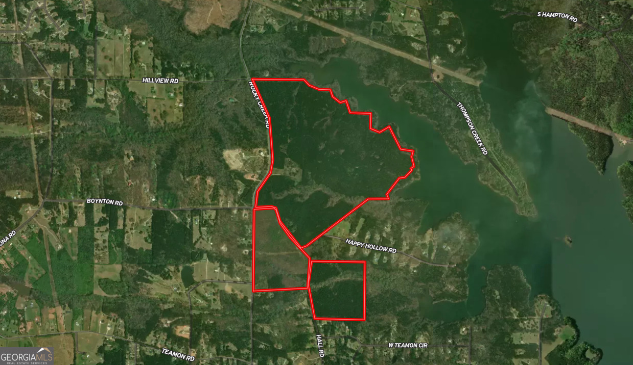 0 Rocky Creek Road Hampton, GA 30228 - Photo 2 of 18