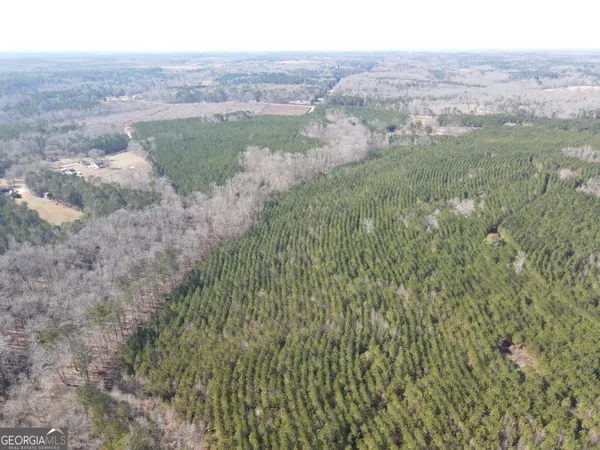 $6,830,400 | 0 Rocky Creek Road, Hampton, GA 30228
