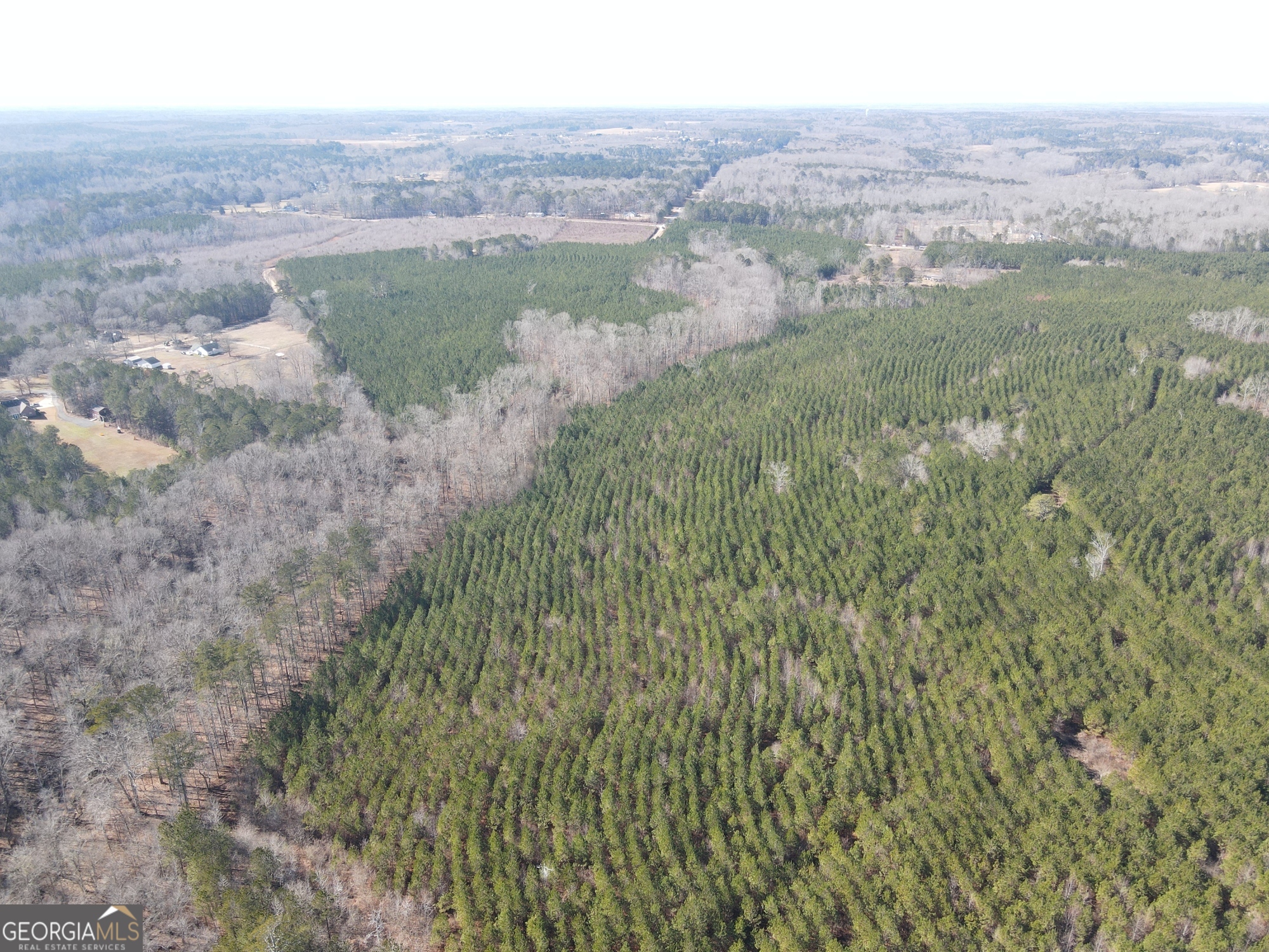 0 Rocky Creek Road Hampton, GA 30228 - Photo 5 of 17