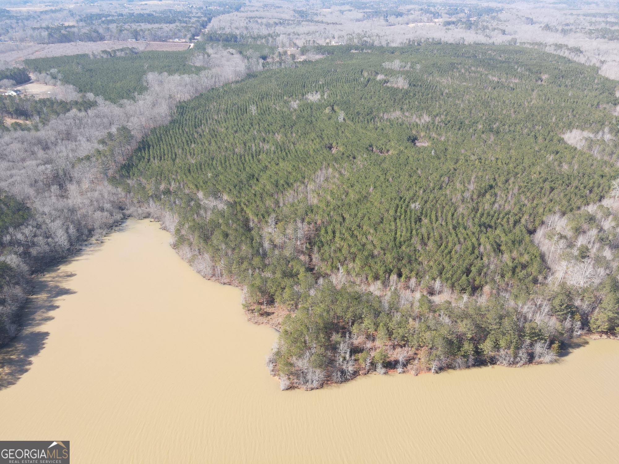 0 Rocky Creek Road Hampton, GA 30228 - Photo 6 of 17