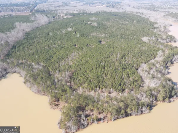 $6,830,400 | 0 Rocky Creek Road, Hampton, GA 30228