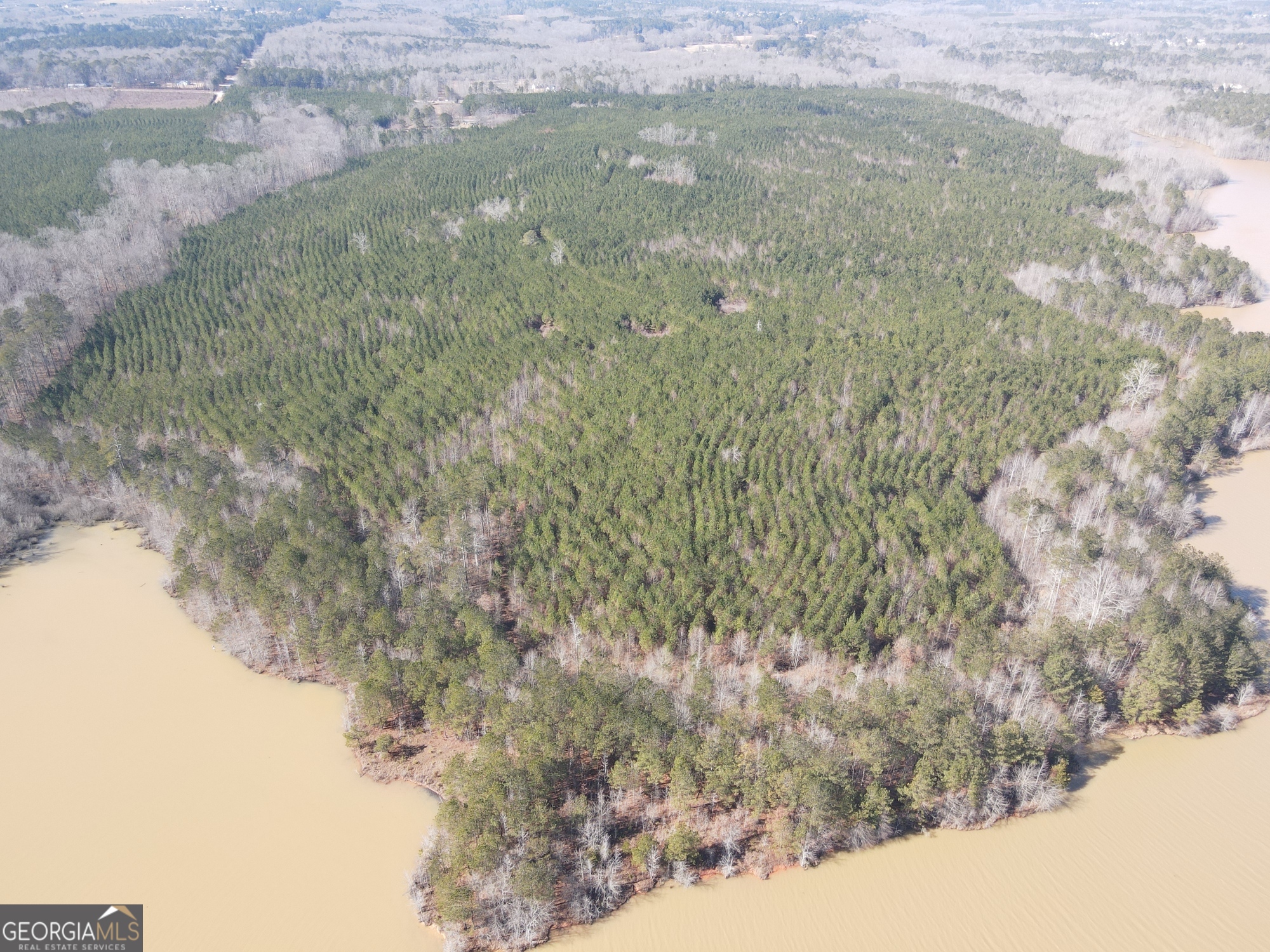 0 Rocky Creek Road Hampton, GA 30228 - Photo 8 of 18 a view of a yard