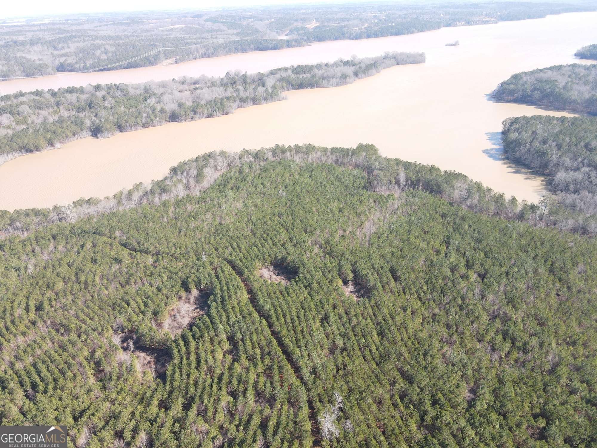 0 Rocky Creek Road Hampton, GA 30228 - Photo 10 of 18 a view of a yard with a lake and mountain in the background