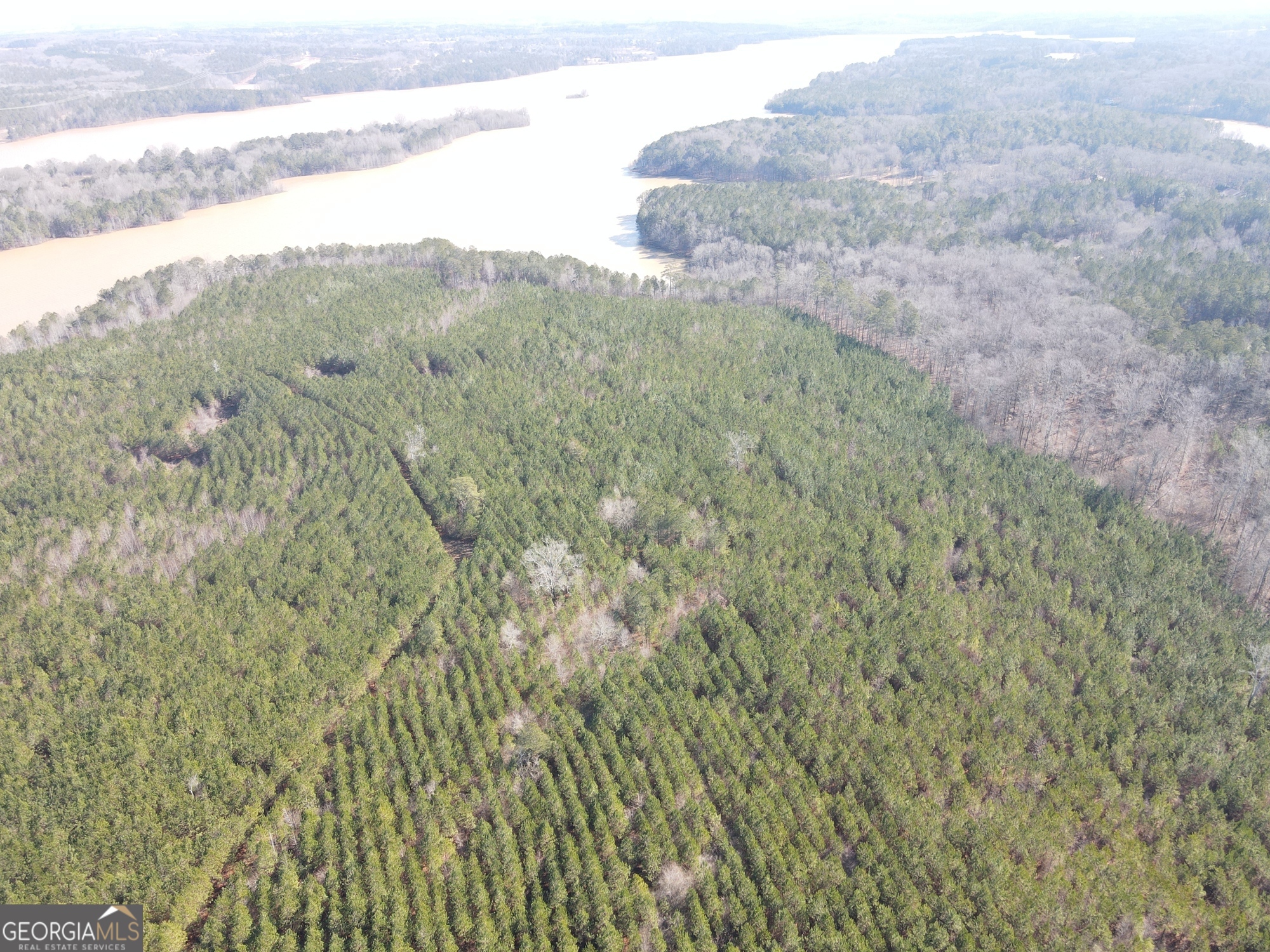 0 Rocky Creek Road Hampton, GA 30228 - Photo 10 of 17