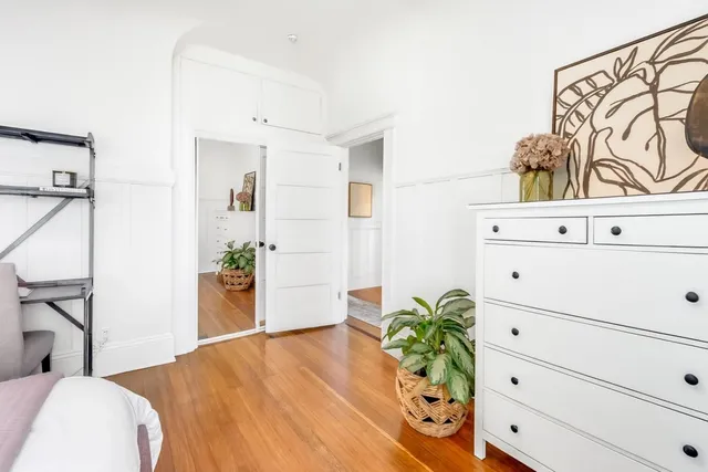 a living room with a potted plant