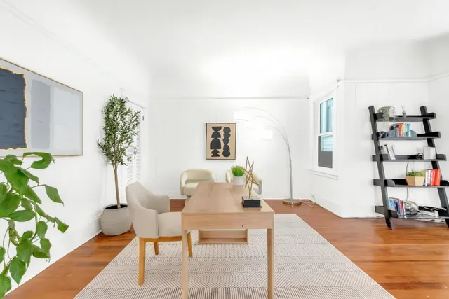 a living room with furniture and a potted plant