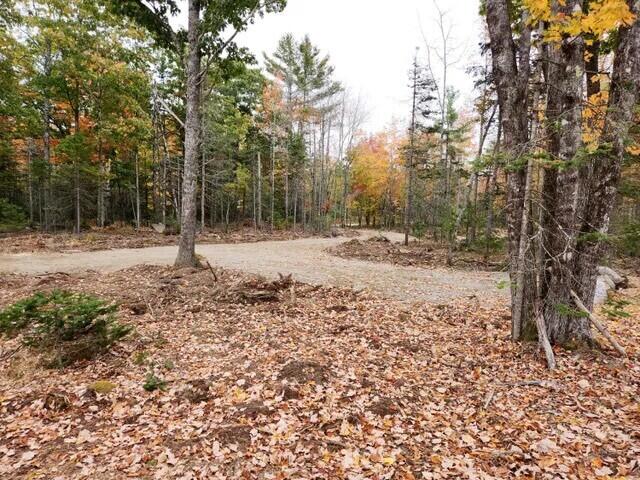 0 Gilpin Road Orland, ME 04472 - Photo 2 of 8 0 gilpin rd 1