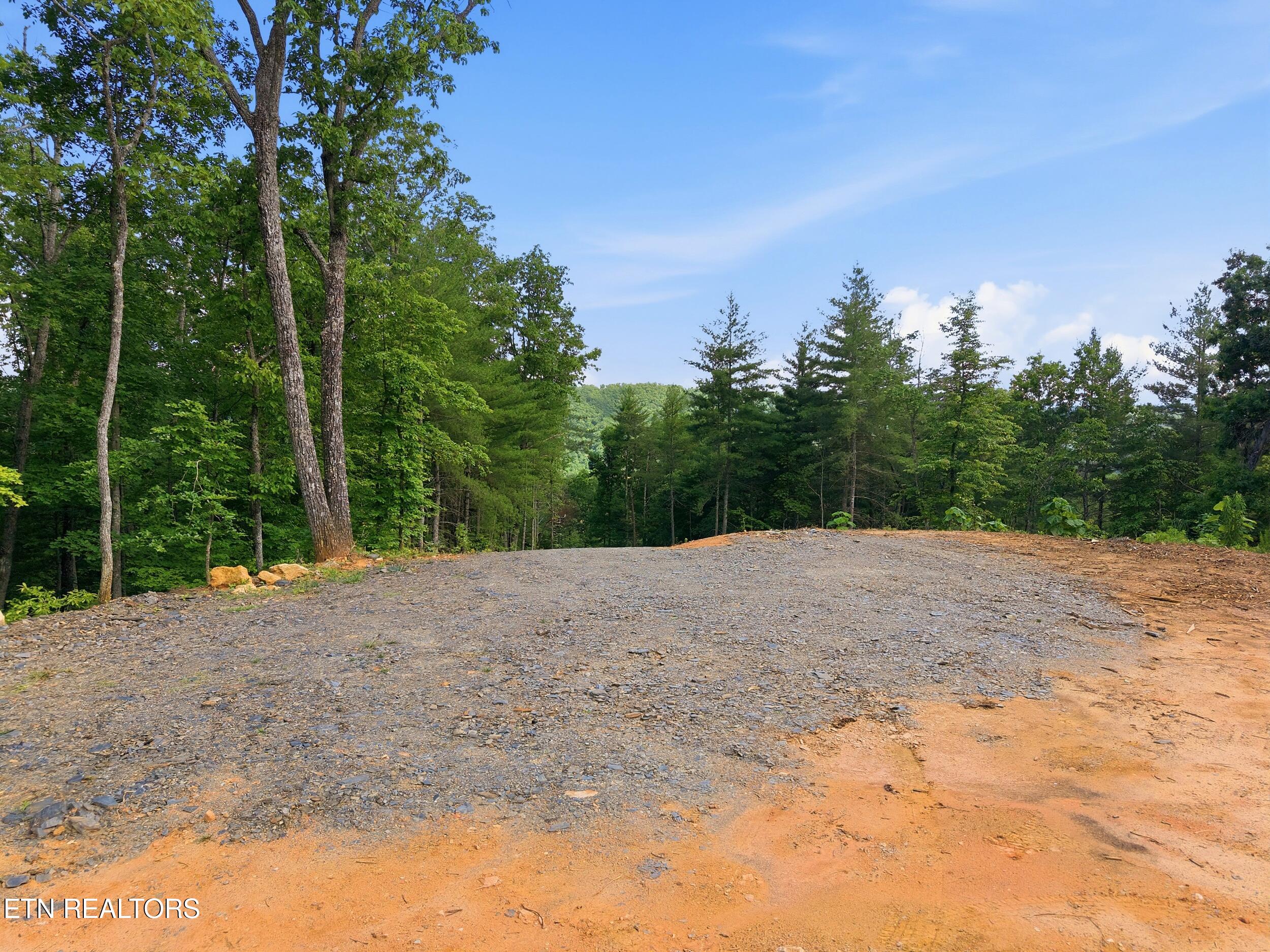 909 The Loop Road Walland, TN 37886 - Photo 20 of 32 17_909_the_loop_rd_0014
