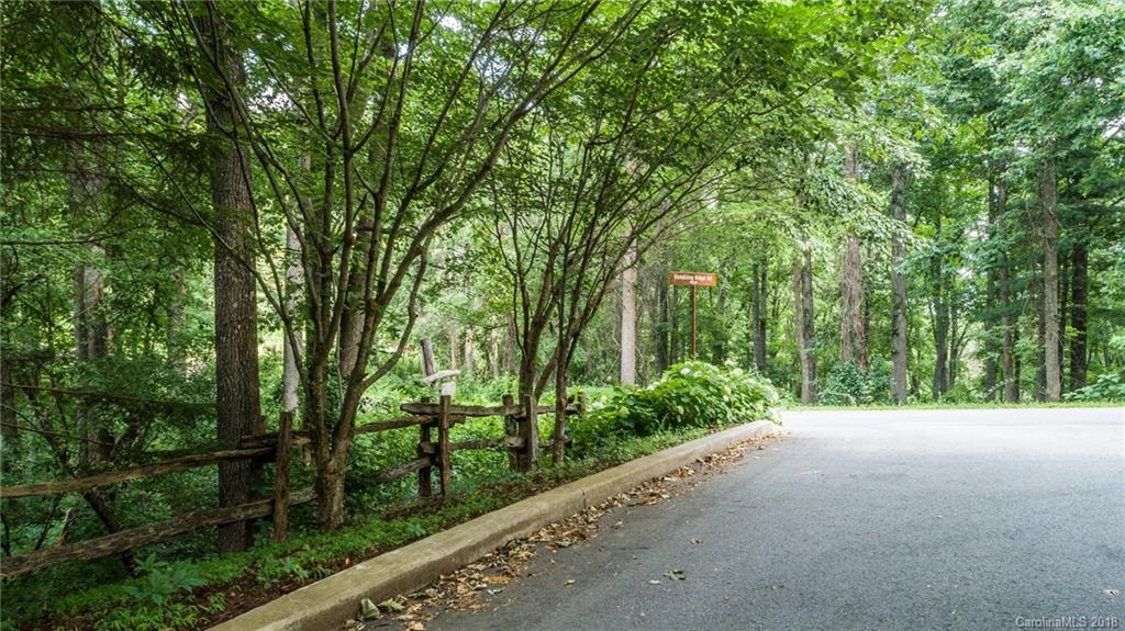 Lot 1 Rambling Ridge Road, Unit 1 Asheville, NC 28804 - Photo 3 of 16 Gallery Image 3