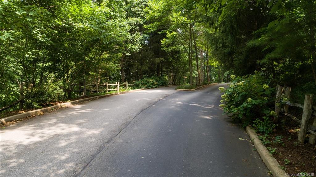 Lot 1 Rambling Ridge Road, Unit 1 Asheville, NC 28804 - Photo 4 of 16 Gallery Image 4