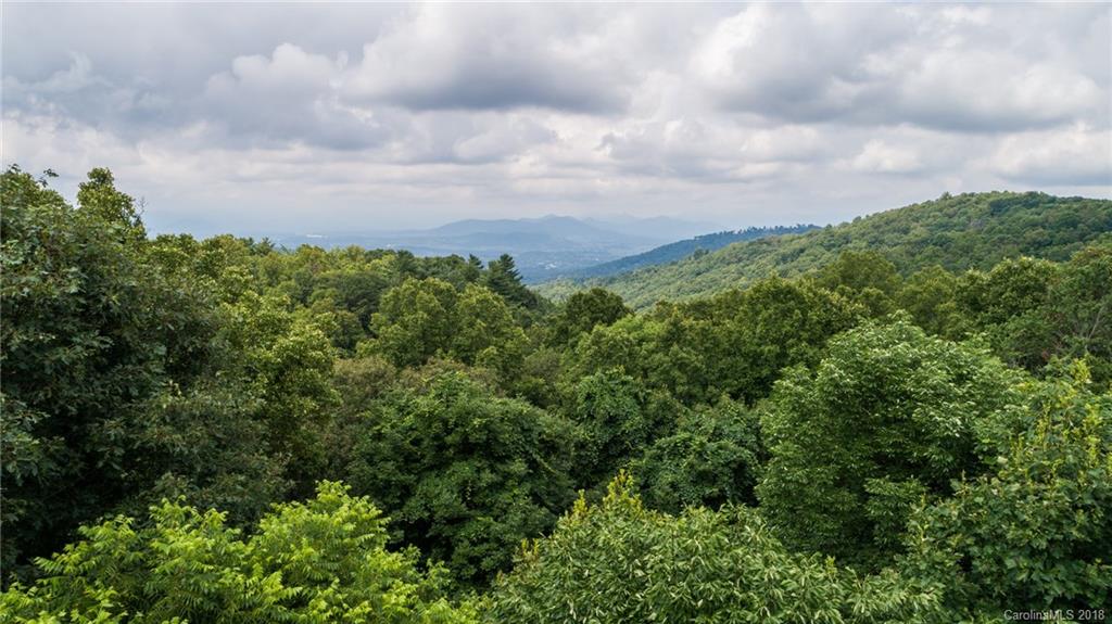 Lot 1 Rambling Ridge Road, Unit 1 Asheville, NC 28804 - Photo 5 of 16 Gallery Image 5