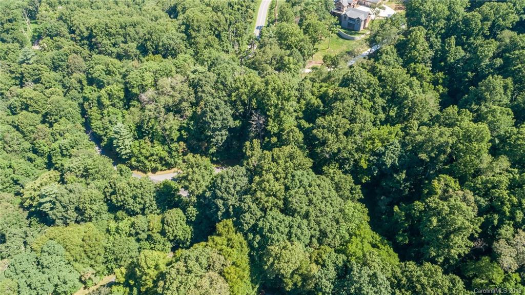 Lot 1 Rambling Ridge Road, Unit 1 Asheville, NC 28804 - Photo 8 of 16 Gallery Image 8