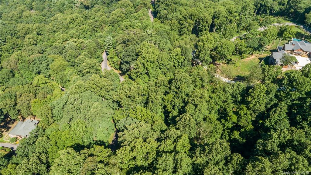 Lot 1 Rambling Ridge Road, Unit 1 Asheville, NC 28804 - Photo 9 of 16 Gallery Image 9