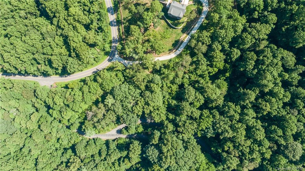Lot 1 Rambling Ridge Road, Unit 1 Asheville, NC 28804 - Photo 10 of 16 Gallery Image 10