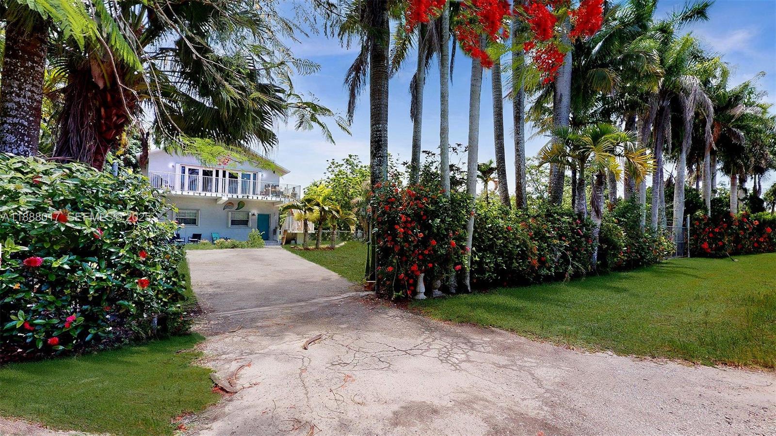 a view of a garden with palm trees