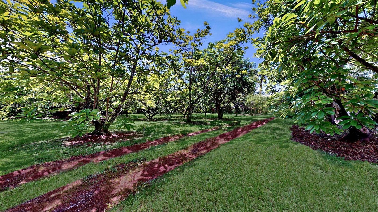 18475 Southwest 204th Street Miami, FL 33187 - Photo 40 of 41 a view of green field with plants and trees