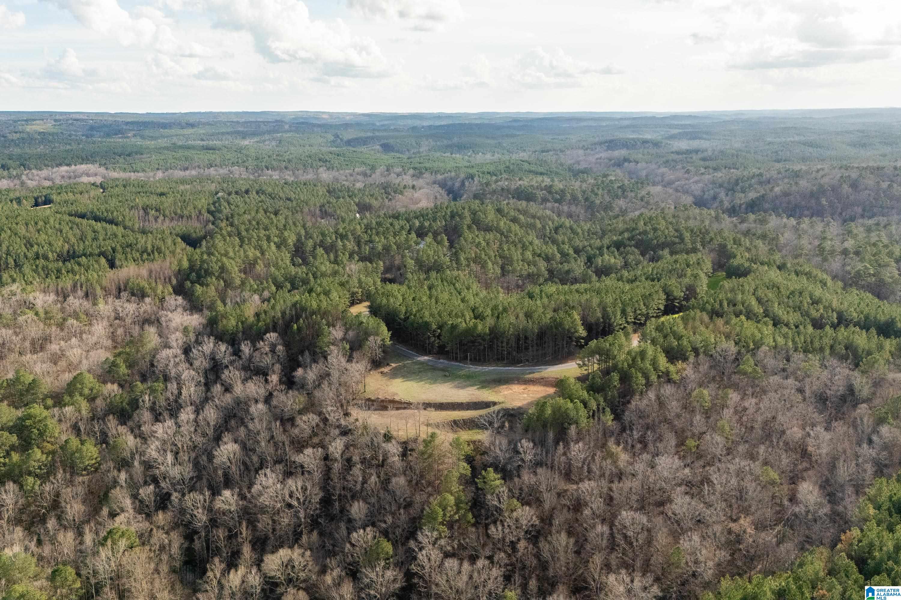 1321 Red Oak Road Helena, AL 35080 - Photo 4 of 12