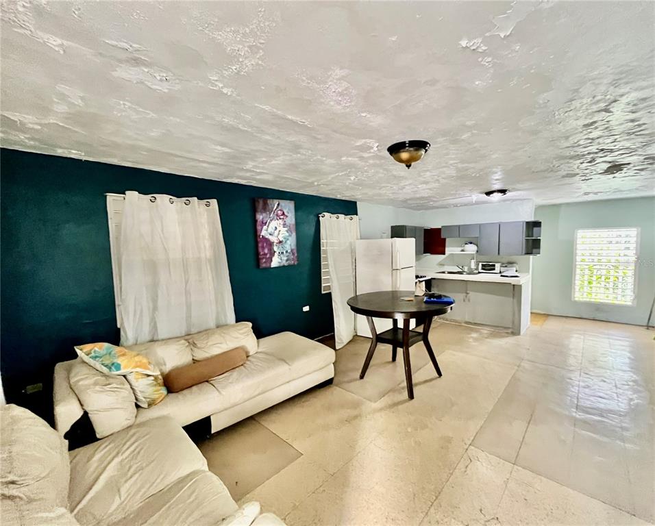 233 Malpica Rio Grande, Río Grande 00745 - Photo 5 of 19 Gallery Image 5