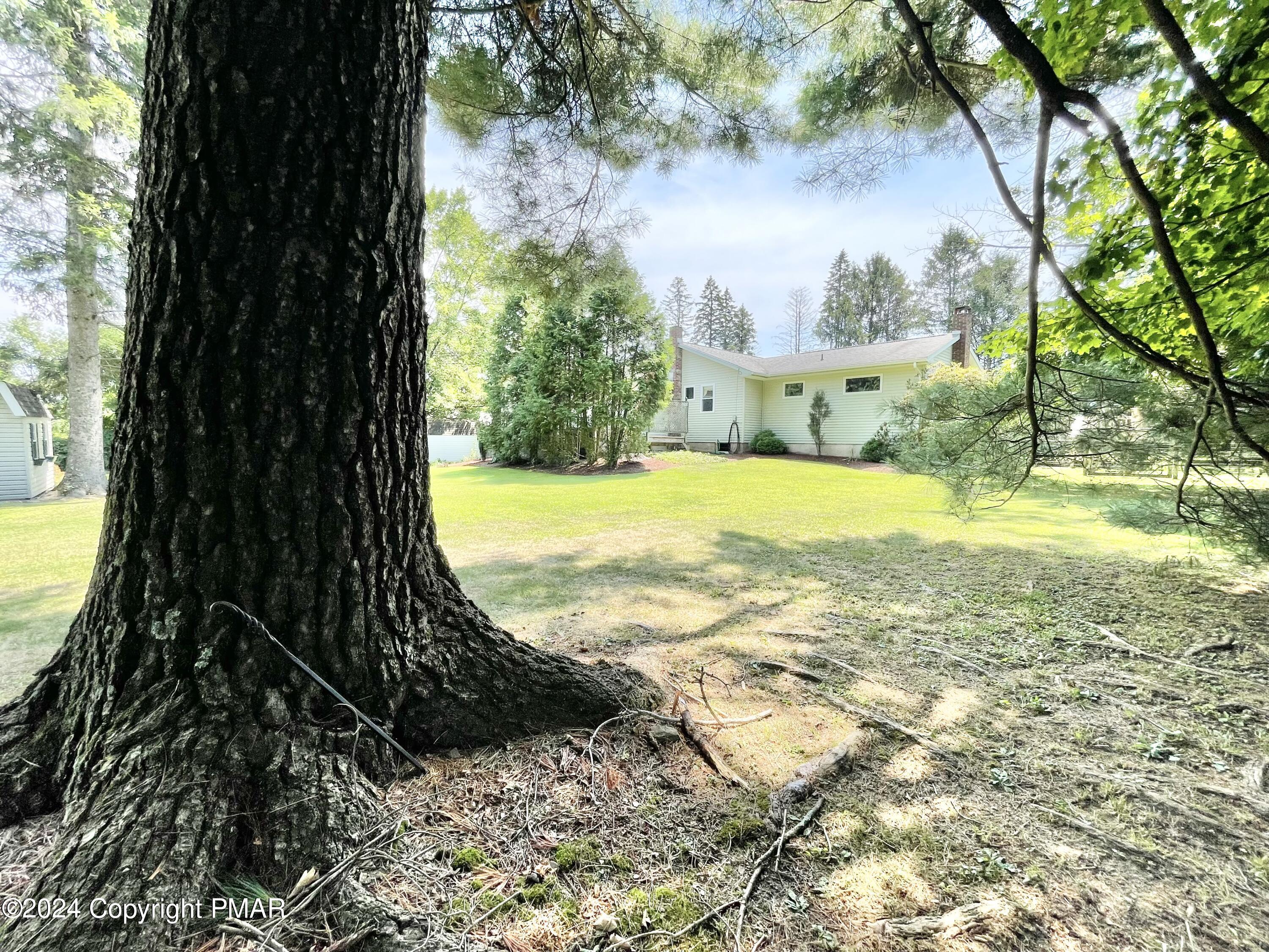 214 Shine Hill Road Henryville, PA 18332 - Photo 22 of 126 Grandfather pine