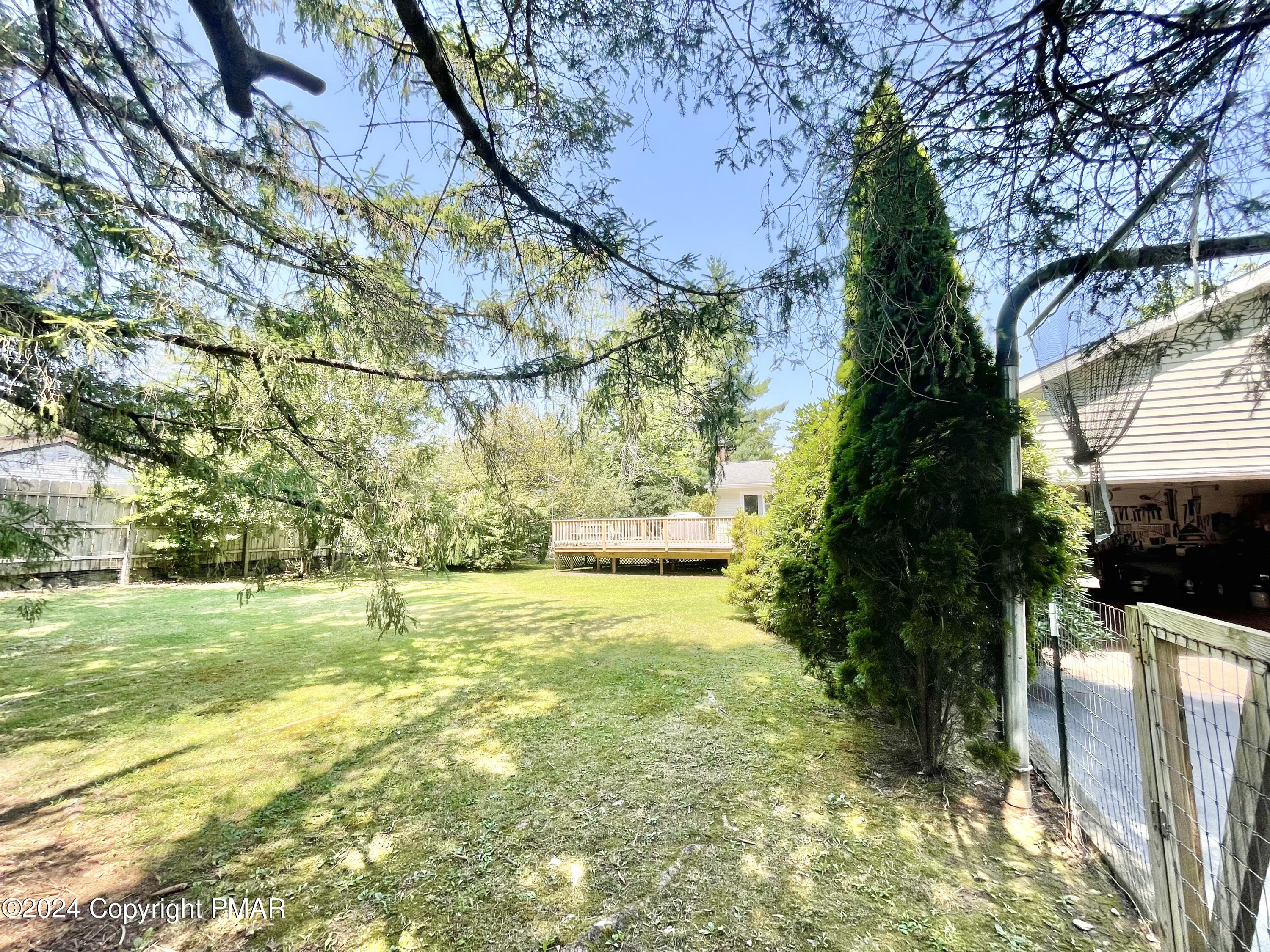 214 Shine Hill Road Henryville, PA 18332 - Photo 51 of 126 a view of a yard with a tree