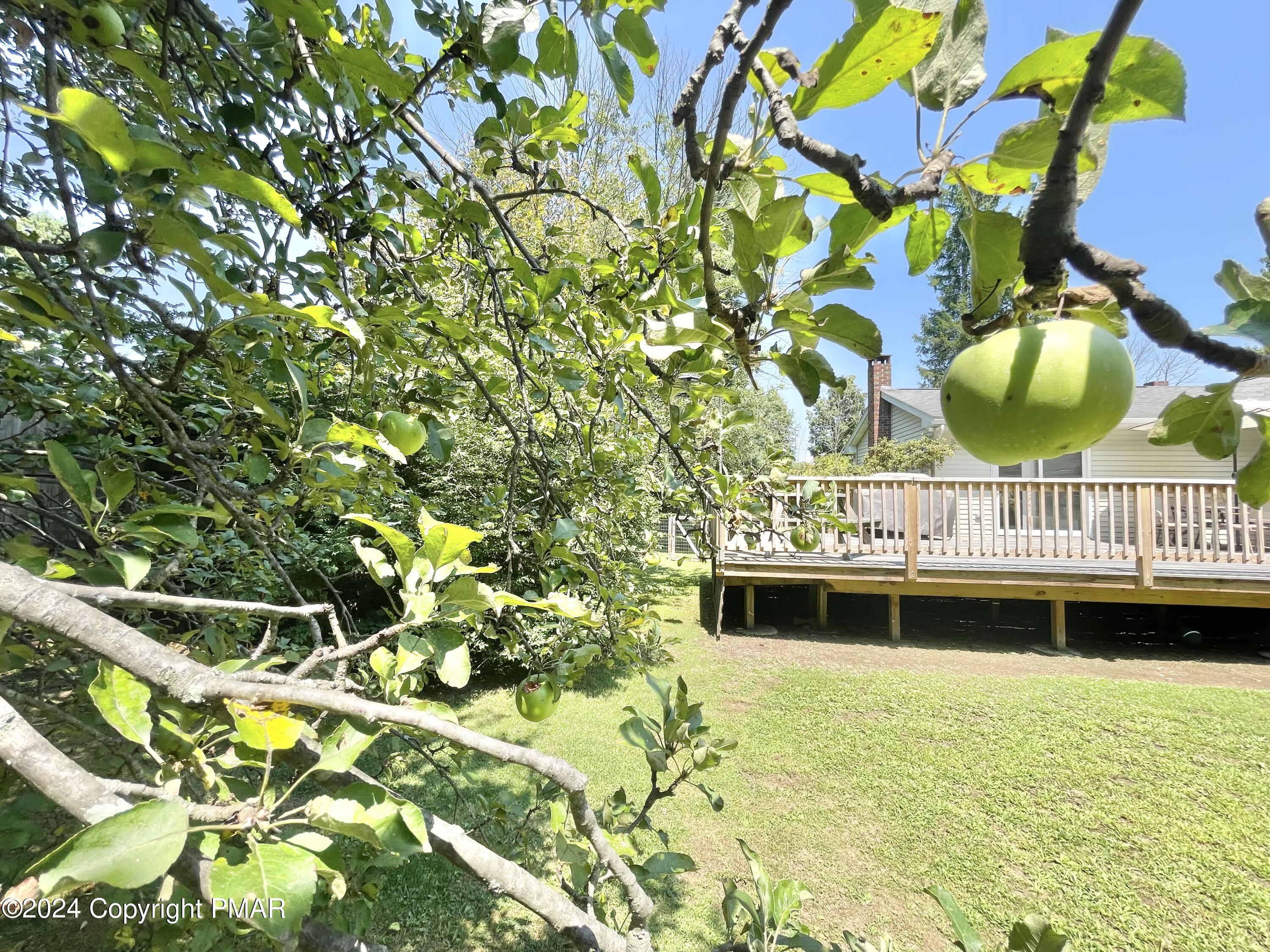 214 Shine Hill Road Henryville, PA 18332 - Photo 54 of 126 a view of a house with a swimming pool and wooden floor
