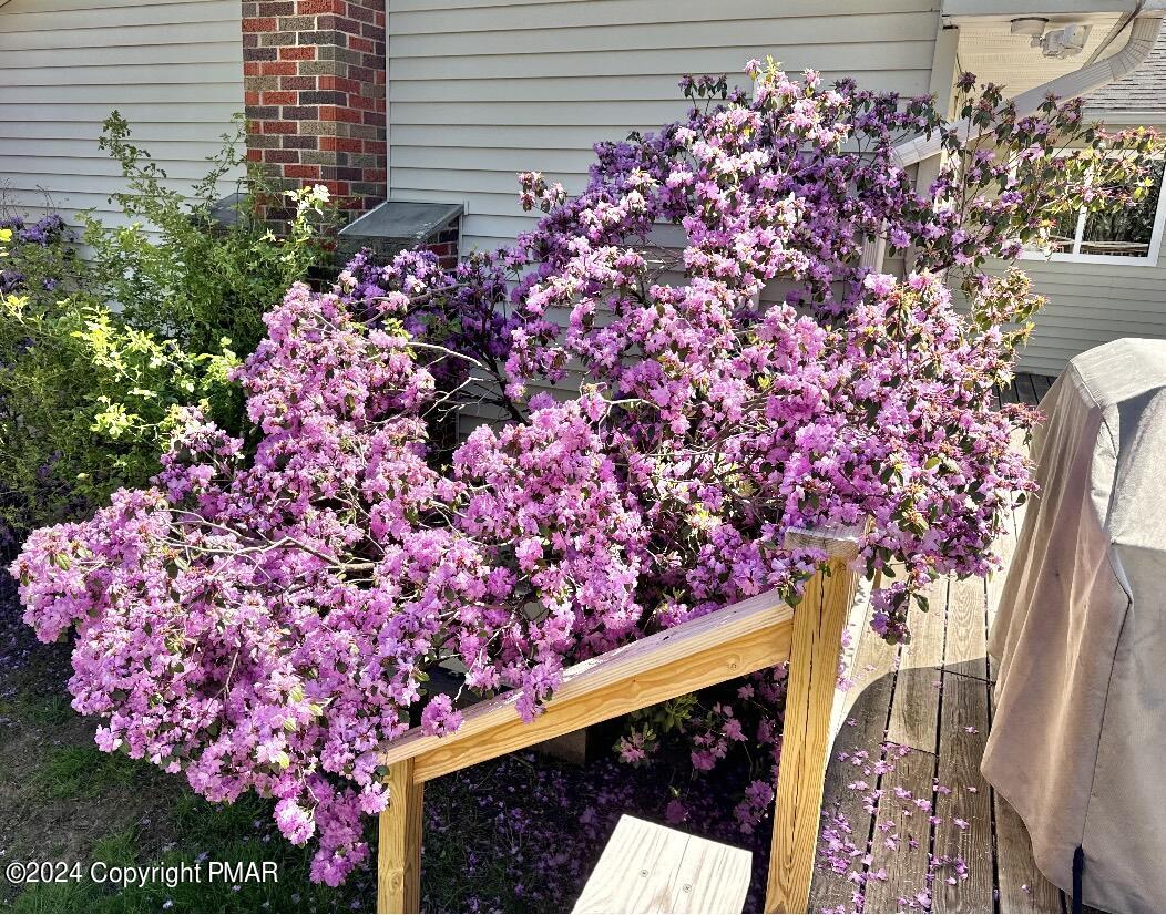 214 Shine Hill Road Henryville, PA 18332 - Photo 55 of 126 a picture of flowers