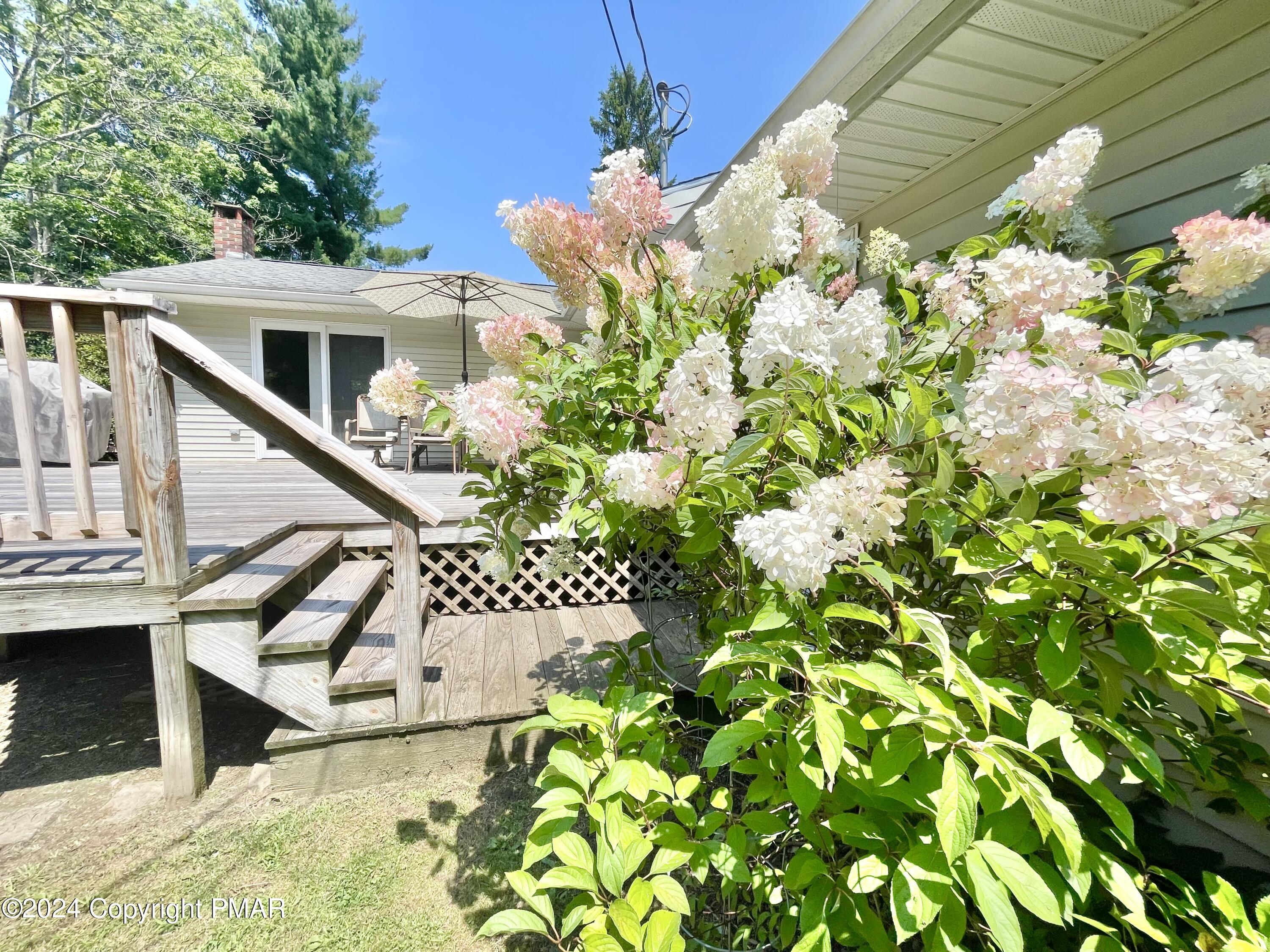 214 Shine Hill Road Henryville, PA 18332 - Photo 62 of 126 Hydrangia