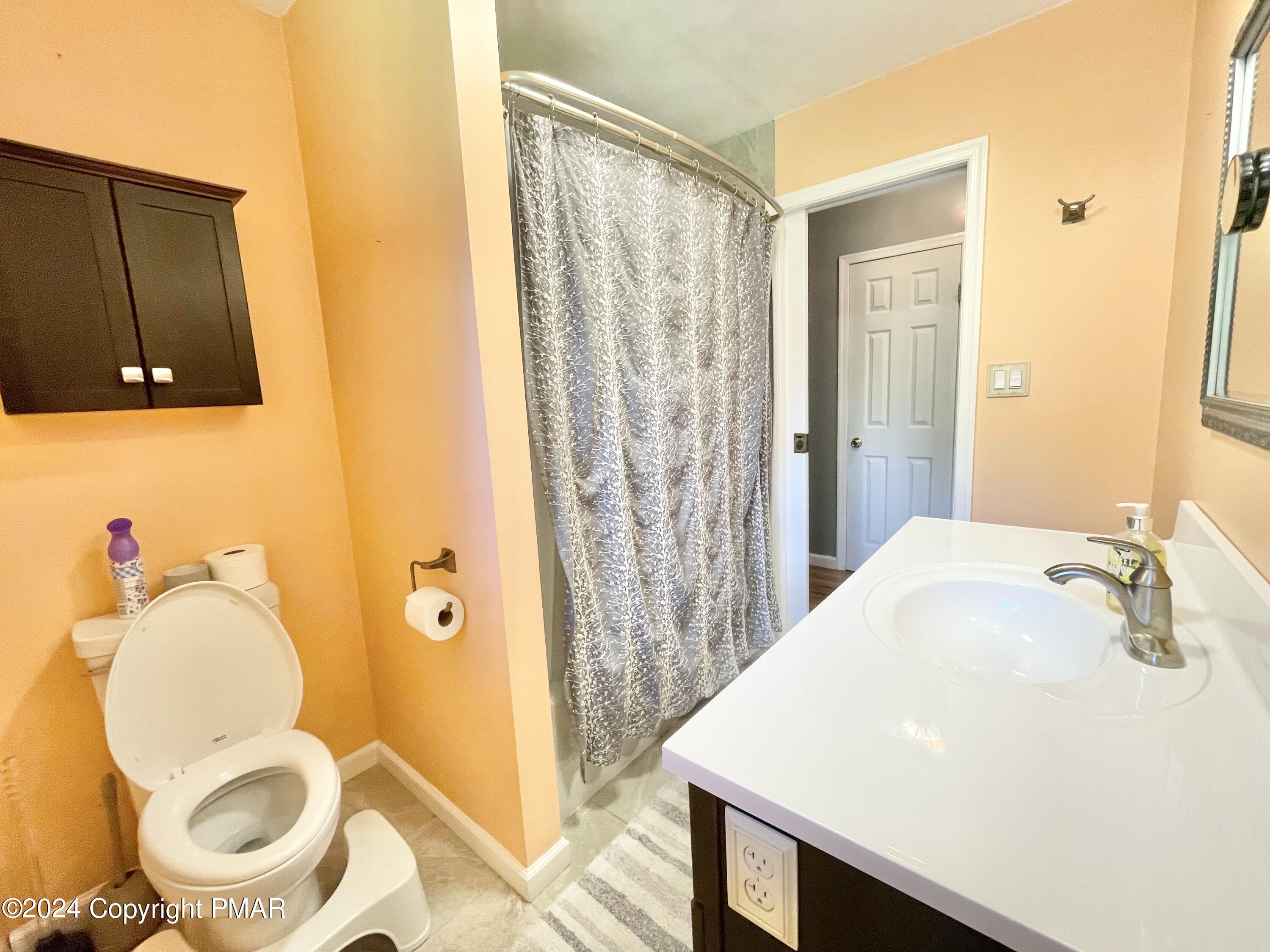 214 Shine Hill Road Henryville, PA 18332 - Photo 90 of 126 a bathroom with a sink a toilet and shower