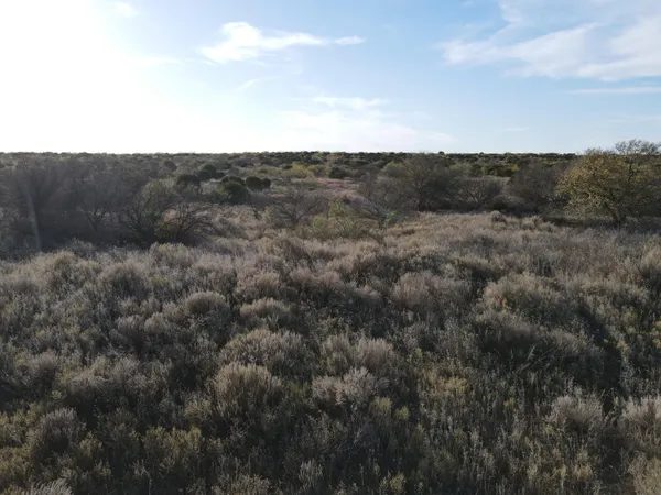 $1,767,600 | 7 A Co Road, Clarendon, TX 79226
