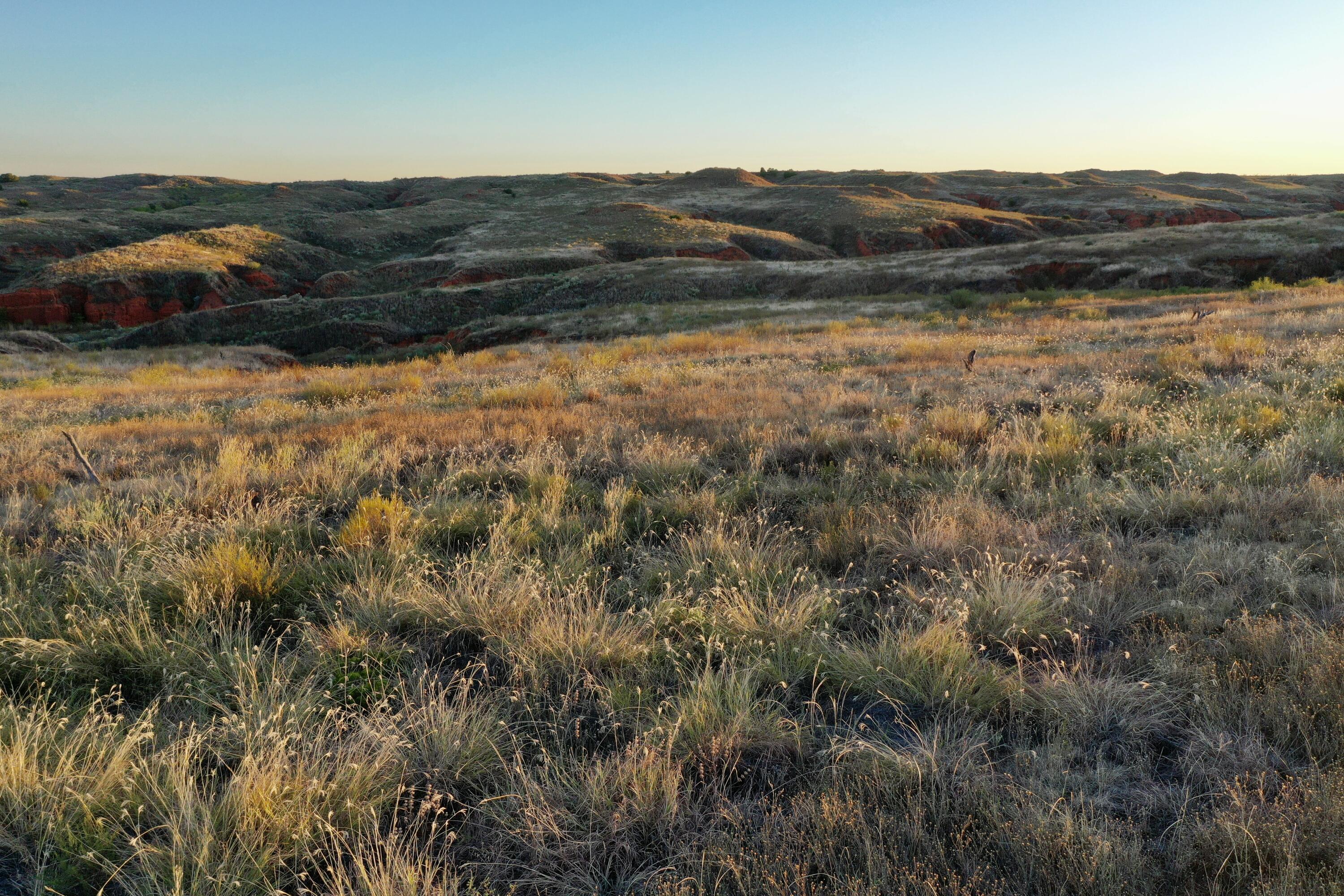 7 A Co Road Clarendon, TX 79226 - Photo 22 of 72 DJI_0281