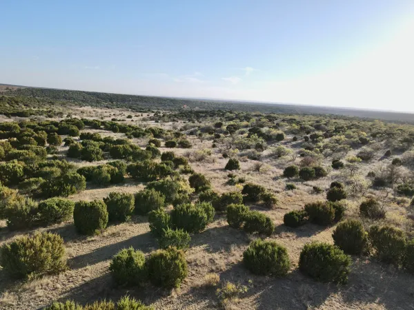 $1,767,600 | 7 A Co Road, Clarendon, TX 79226