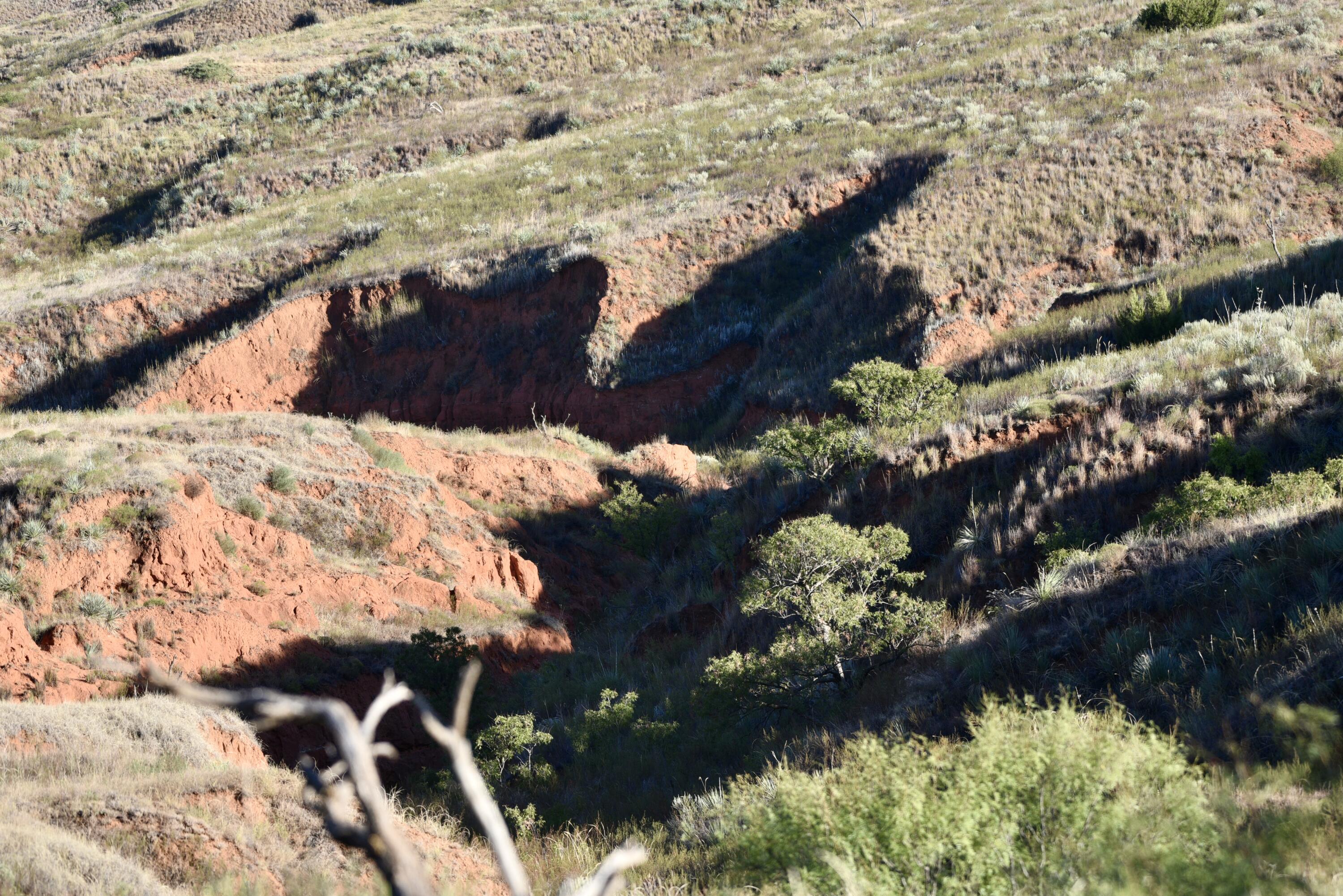 7 A Co Road Clarendon, TX 79226 - Photo 30 of 72 a view of a yard