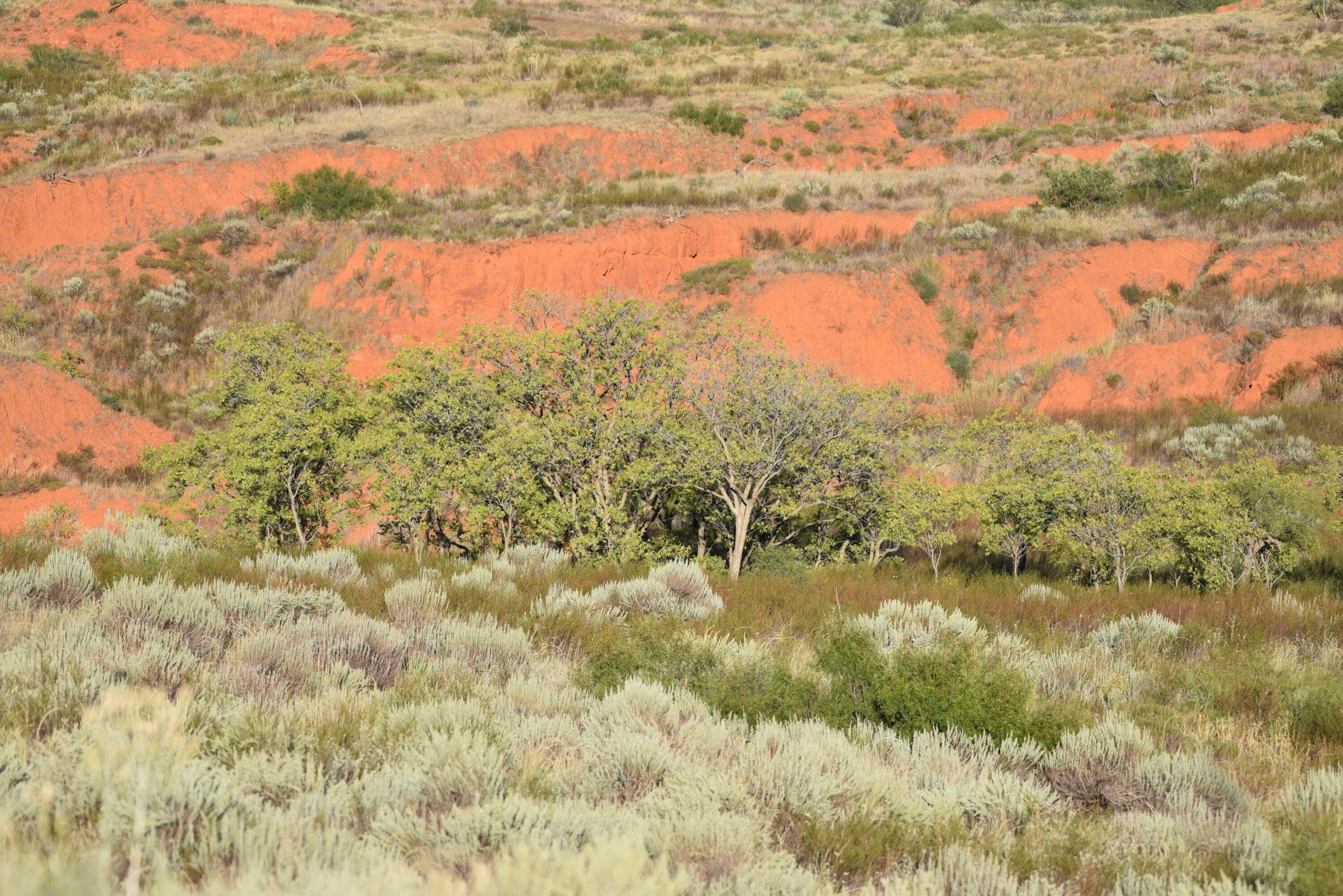 7 A Co Road Clarendon, TX 79226 - Photo 31 of 72 a view of lake with green space