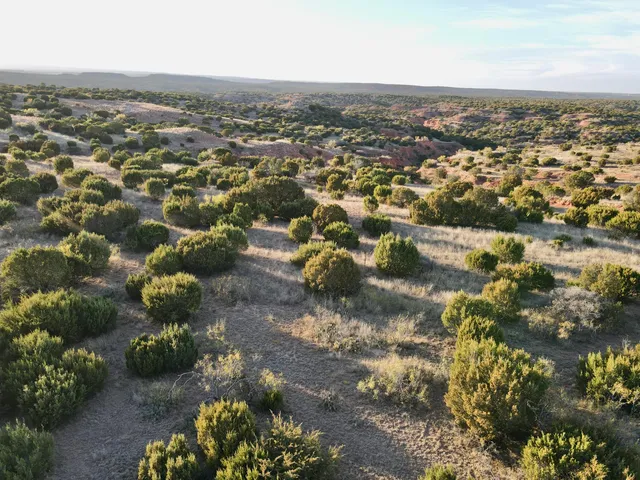 $1,767,600 | 7 A Co Road, Clarendon, TX 79226