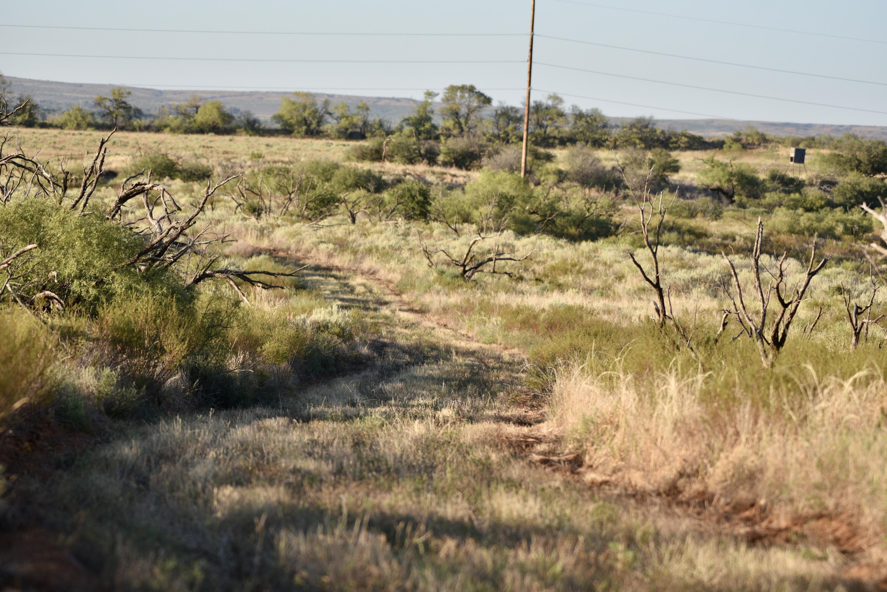 7 A Co Road Clarendon, TX 79226 - Photo 40 of 72 a view of lake view