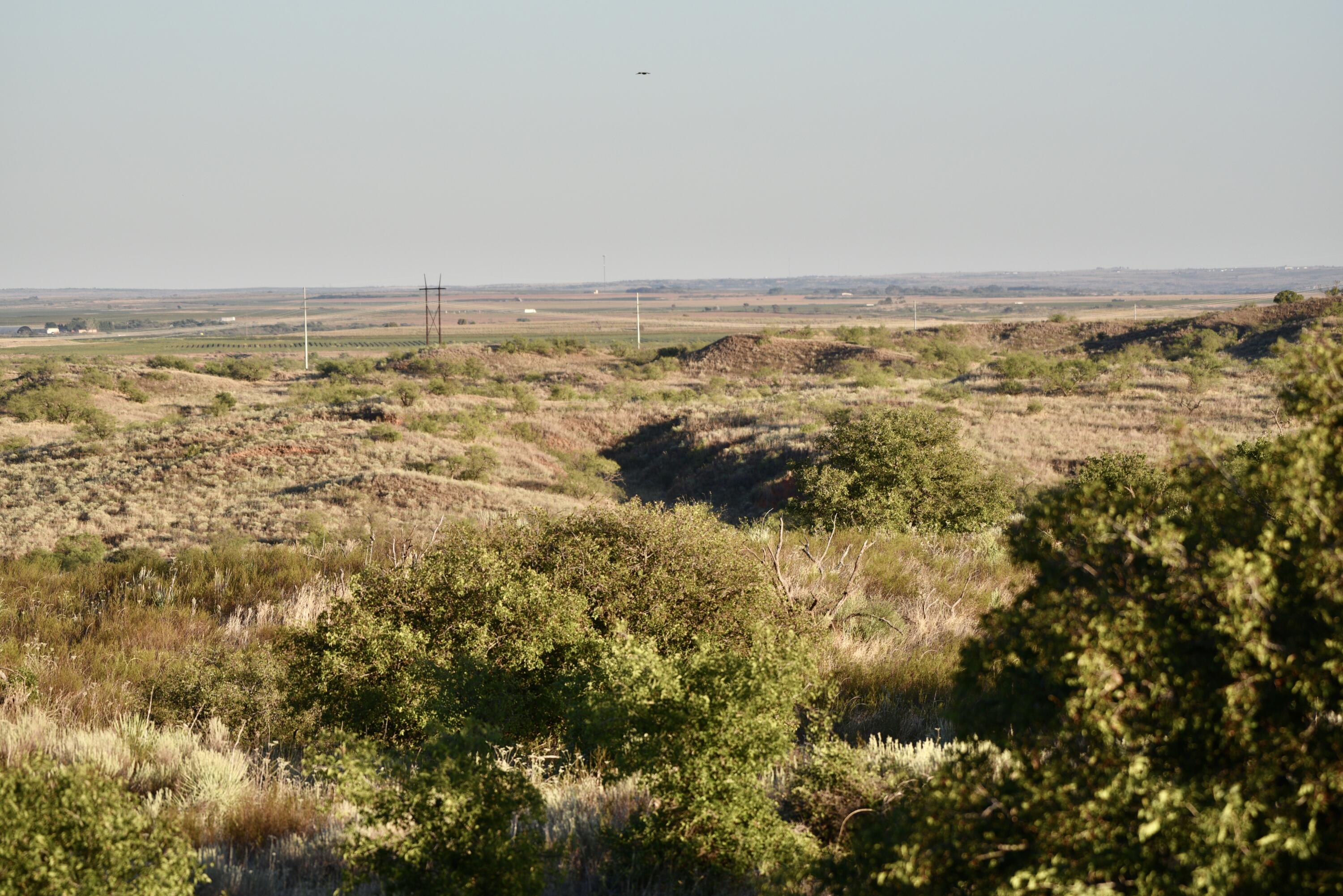 7 A Co Road Clarendon, TX 79226 - Photo 41 of 72 DSC_4215