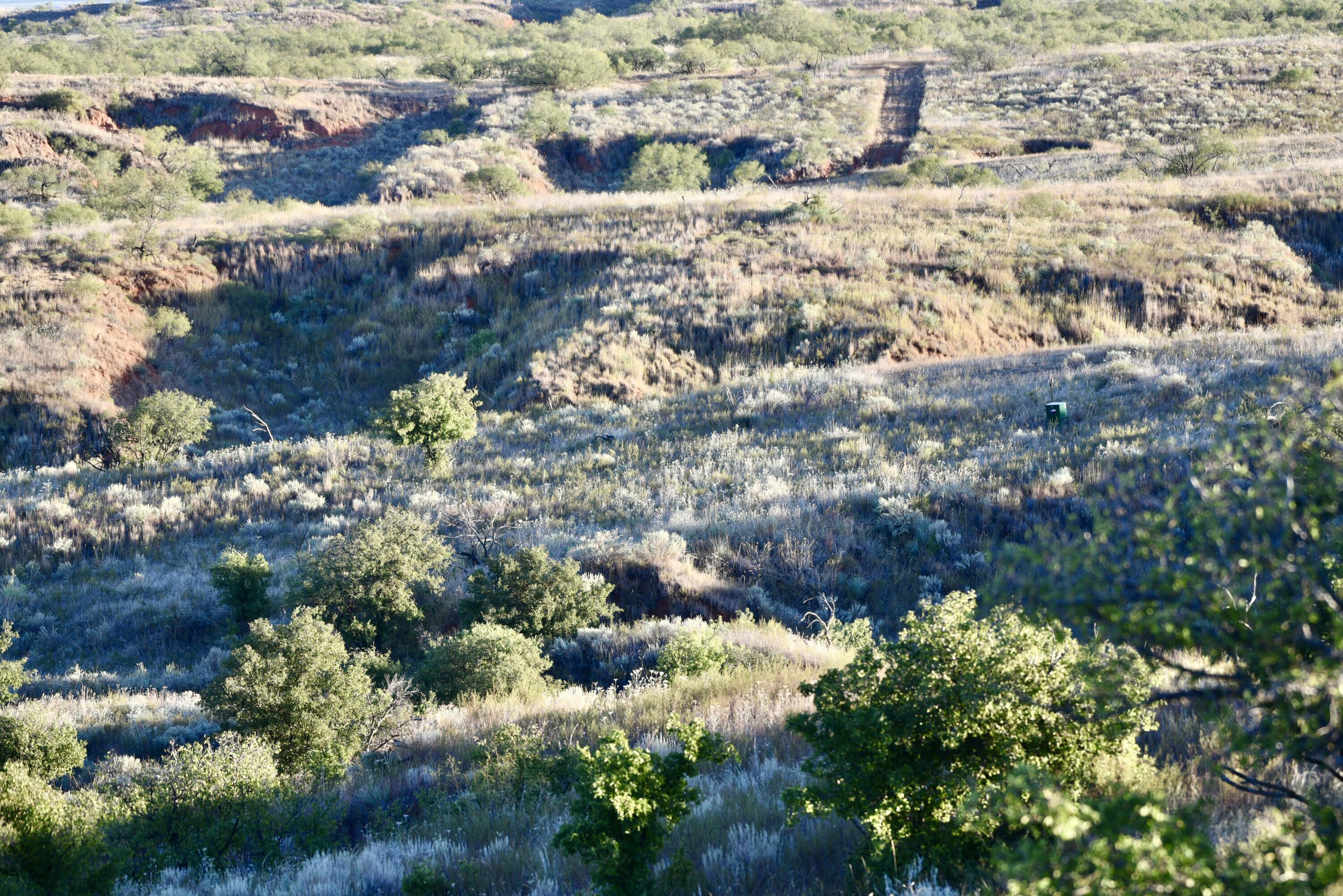 7 A Co Road Clarendon, TX 79226 - Photo 44 of 72 DSC_4218