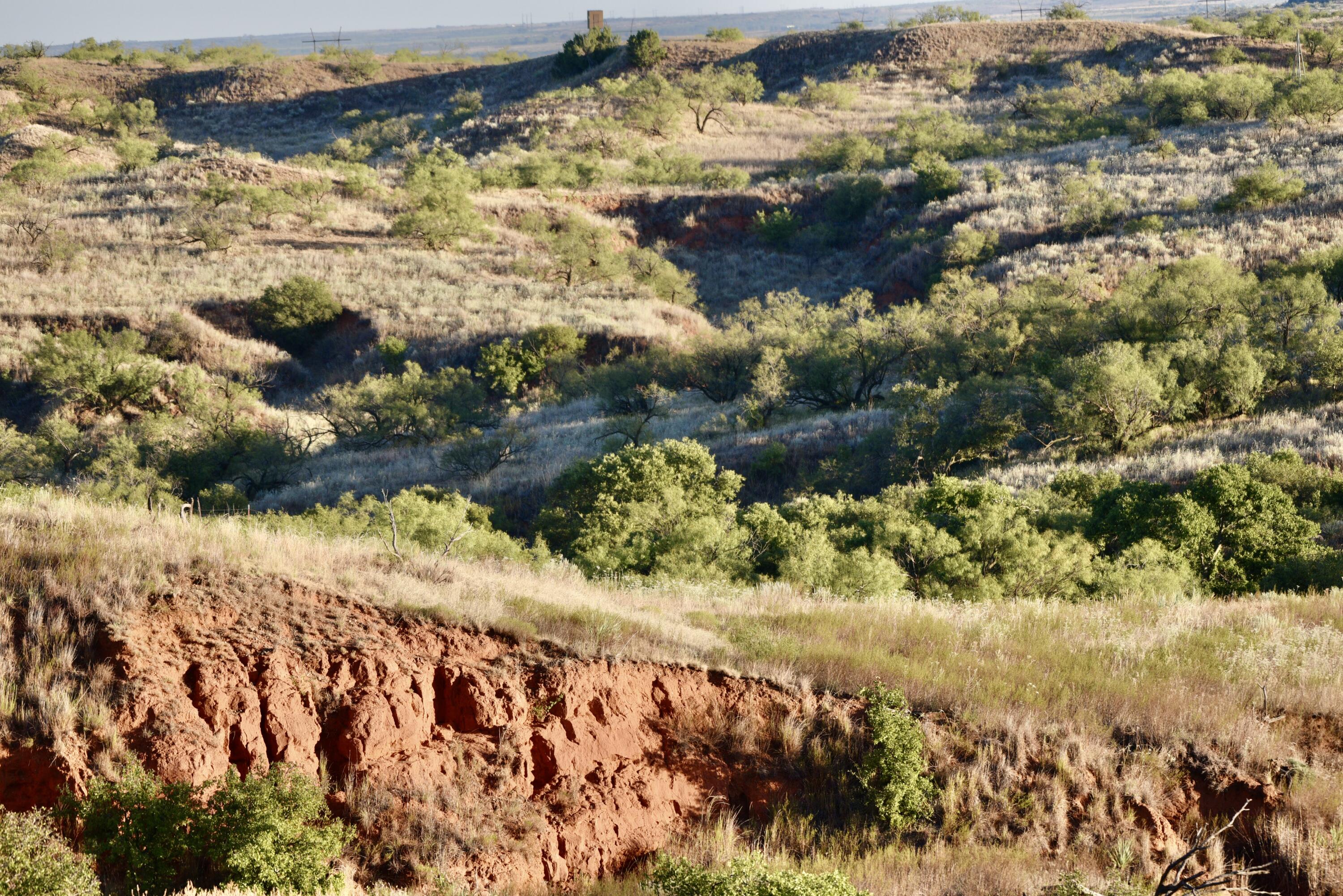 7 A Co Road Clarendon, TX 79226 - Photo 45 of 72 DSC_4219