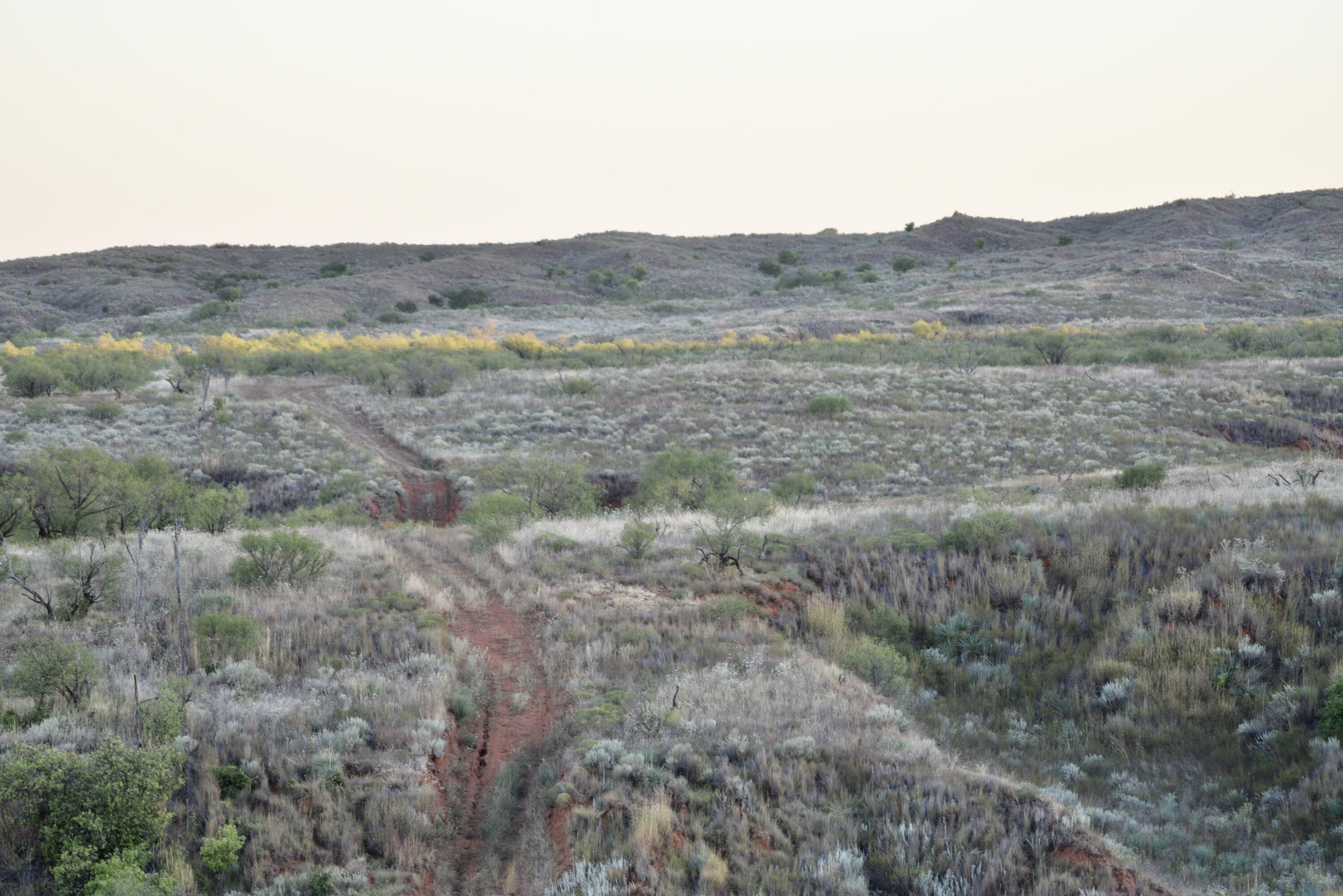 7 A Co Road Clarendon, TX 79226 - Photo 47 of 72 a view of a dry field with trees in the background