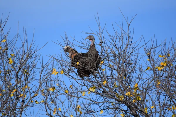 $1,767,600 | 7 A Co Road, Clarendon, TX 79226