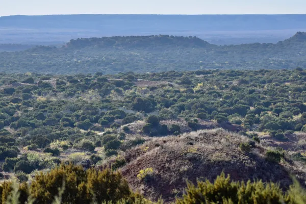 $1,767,600 | 7 A Co Road, Clarendon, TX 79226