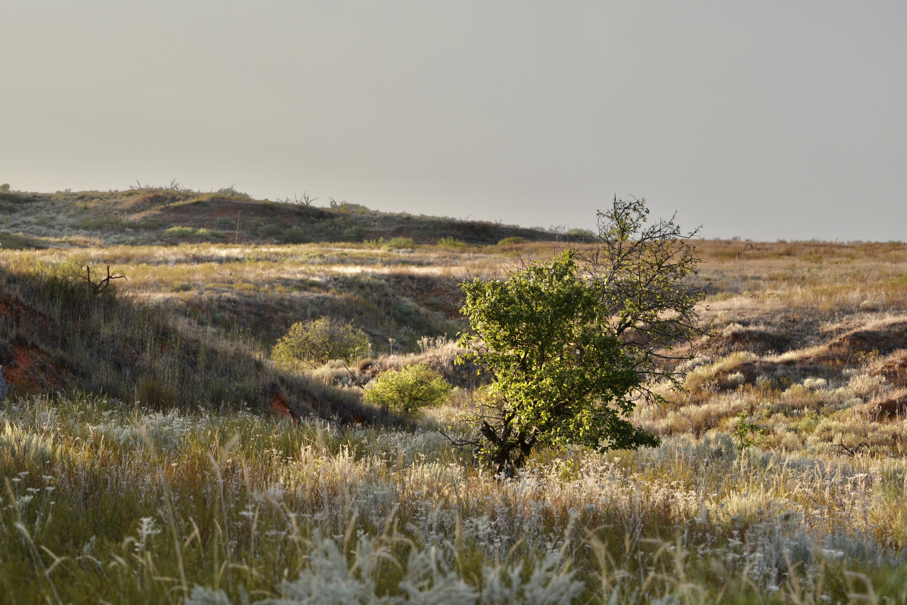 7 A Co Road Clarendon, TX 79226 - Photo 55 of 72 a view of lake