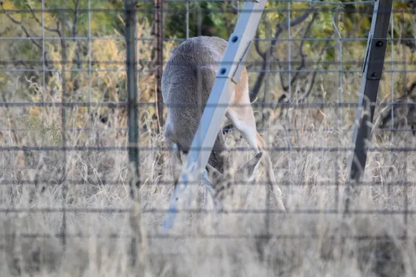 $1,767,600 | 7 A Co Road, Clarendon, TX 79226