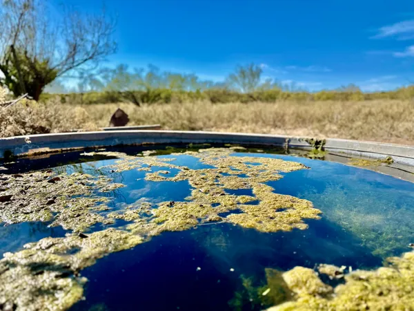 $1,767,600 | 7 A Co Road, Clarendon, TX 79226