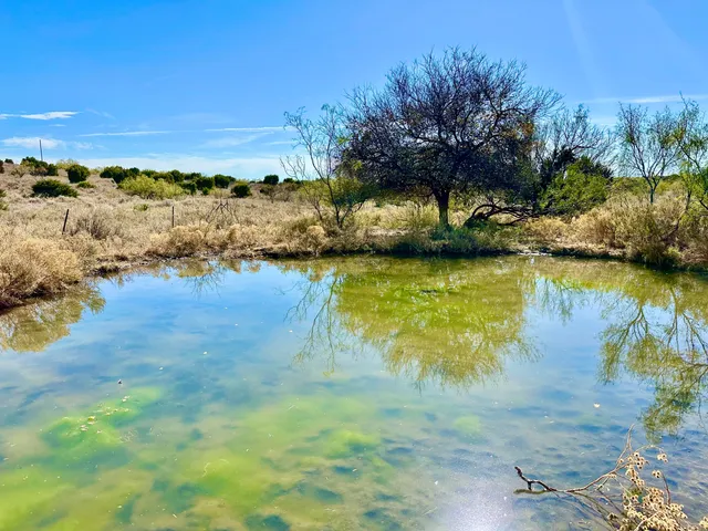 $1,767,600 | 7 A Co Road, Clarendon, TX 79226