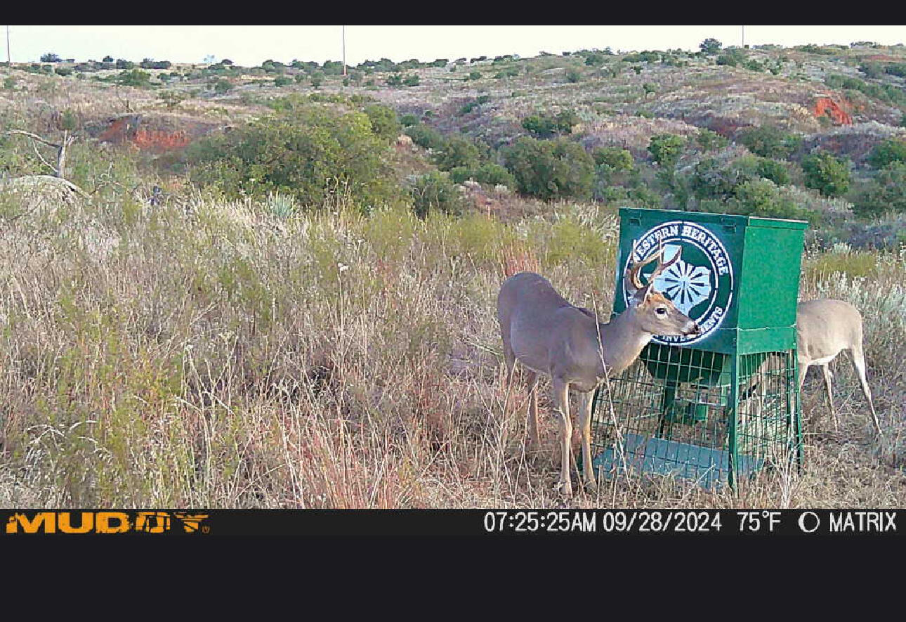 7 A Co Road Clarendon, TX 79226 - Photo 69 of 72 a view of swimming pool from a lake